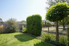 buiten tuin (uitzicht op weiland boer).jpg